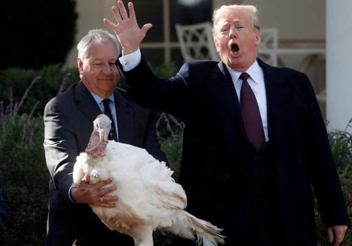 关于干维今枪核3的SEO文章,干维今枪核3,SEO优化全攻略