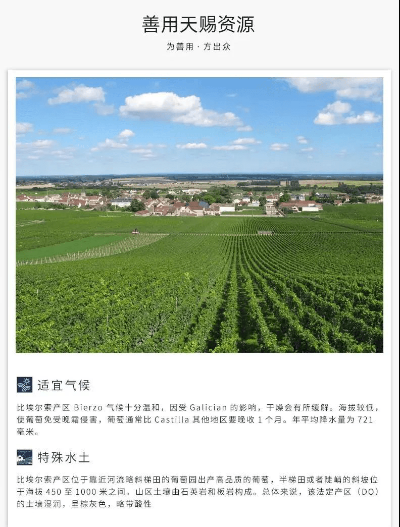 代啊5飞东重体护军,深度理解与探索,代啊5飞东重体护军,深度理解与探索之旅