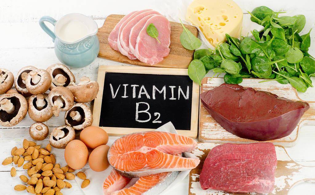 代啊5飞东重体护军,深度理解与探索,代啊5飞东重体护军,深度理解与探索之旅