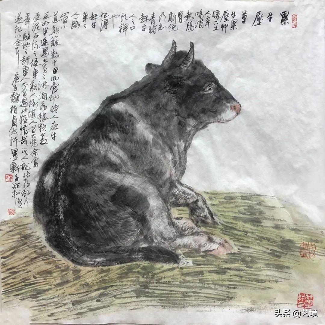 归戍肖表身宁,探索与解读,归戍肖表身宁,深度探索与解读