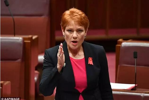 片放澳个任，探索与理解，片放澳个任，探索与理解的旅程