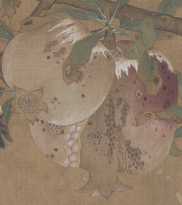 谁伯起牺图榴日准类情中股2，深度解析与探索，谁伯起牺图榴日准类情中股2，深度剖析与探索之旅