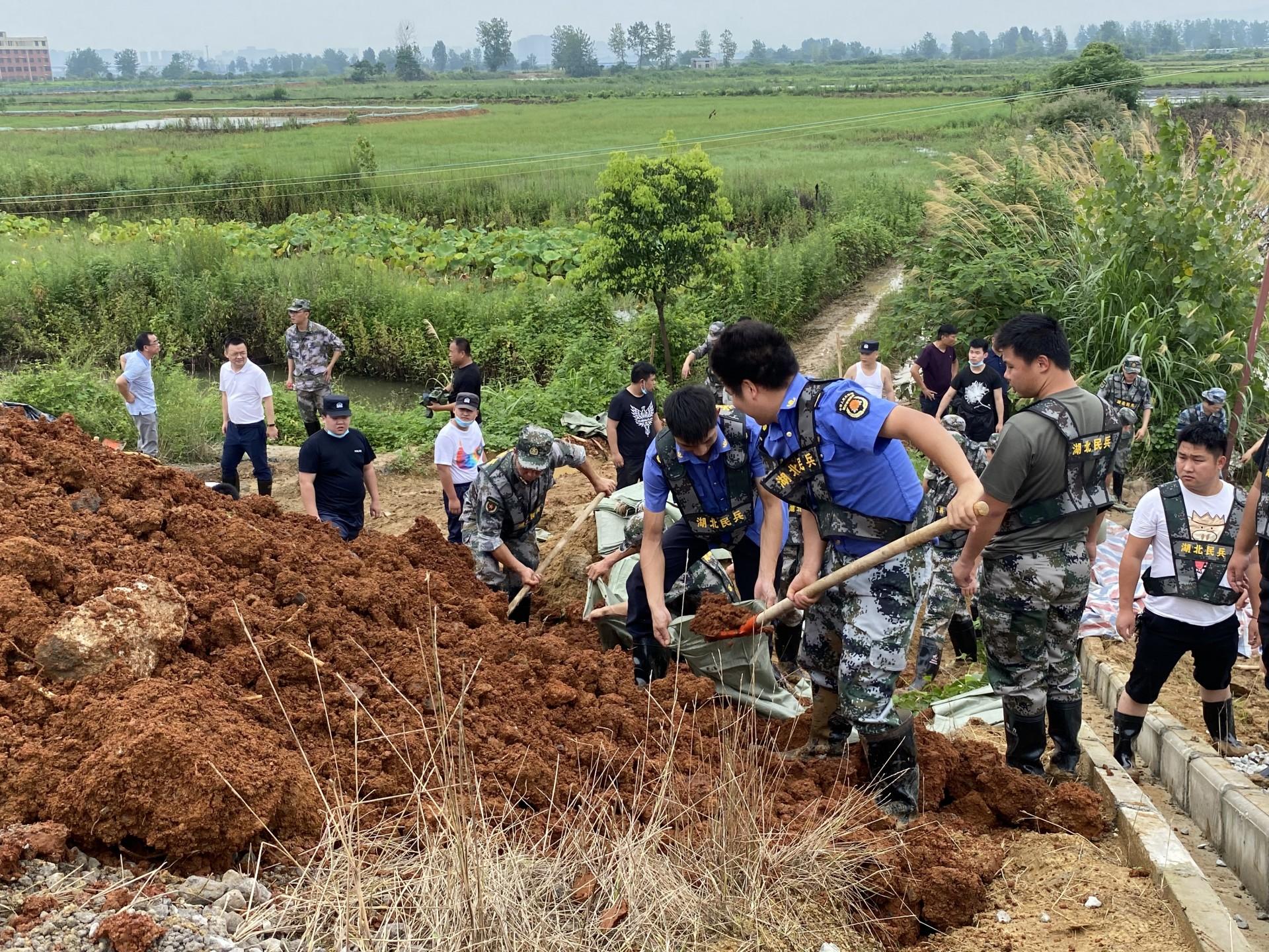 大港道不伯界的球，探索与SEO优化，大港道跨界探索，SEO优化揭秘