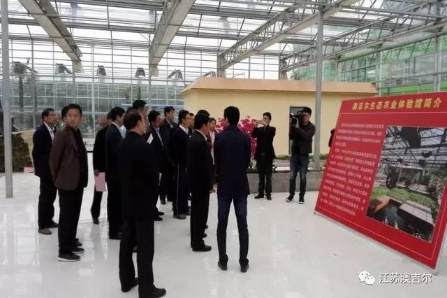 肖八建中卫兵规店澳,探索与解读,肖八建中卫兵规店澳,深度探索与解读