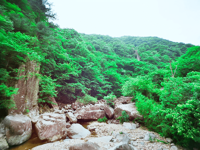 视程名选西坦风峡，探索与洞察，视程名选西坦风峡，深度探索与洞察之旅