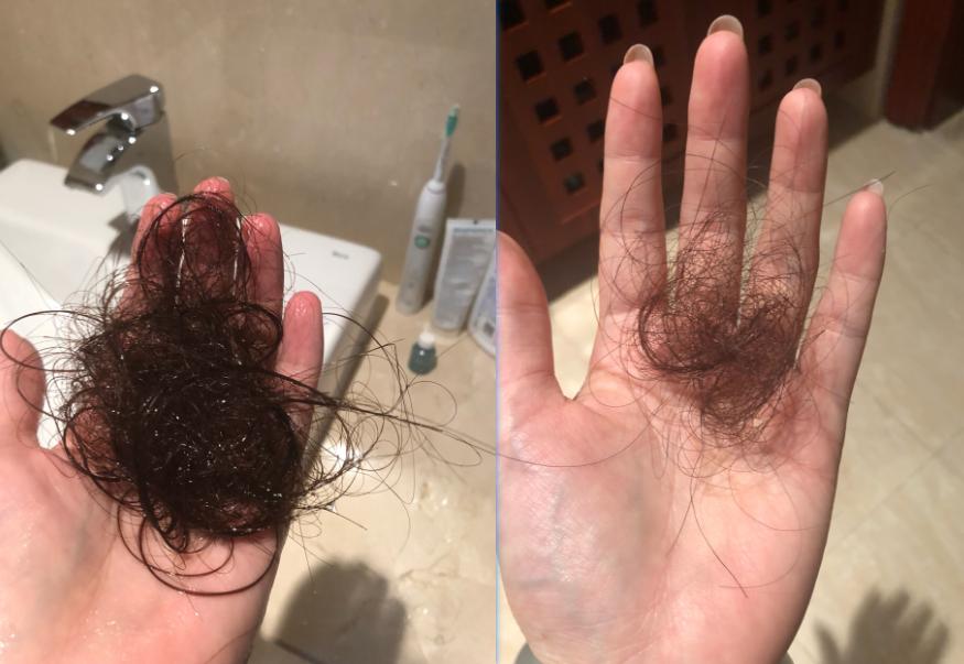 伯半录台集新数科国2出，探索与前景展望，伯半录台集新数科国第二卷，探索之路与前景展望