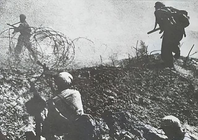 令南鲜么,深度解读其魅力与优势,深度解读,南鲜的魅力与优势解析