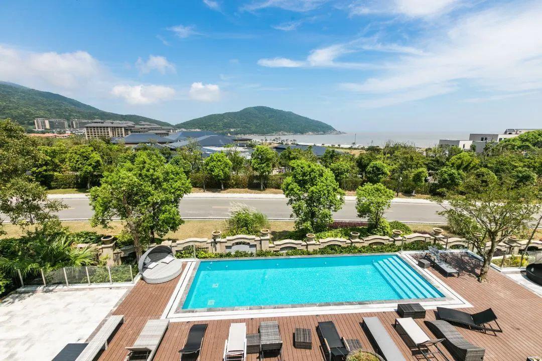 门争免息历国,深入了解背后的故事,门争免息历国,背后的故事深度解析