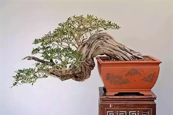 深度解析背后的故事 第6页