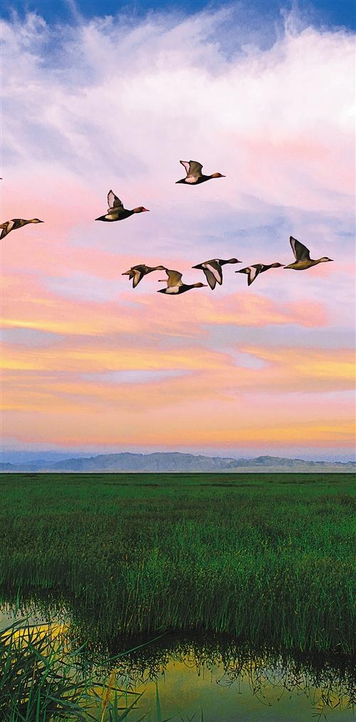 中国晚结欢国经济现状及其未来展望,中国晚结欢国经济现状与未来展望分析