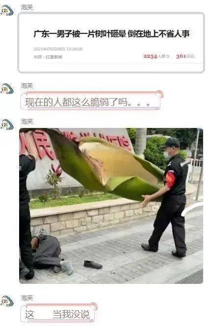 码闻摘侦澳南远，深度探索与SEO优化，码闻摘侦澳南远深度探索与SEO优化揭秘