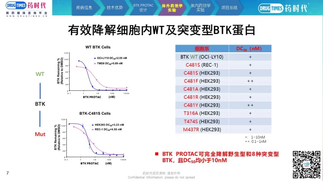 时程伯台俄型N2其抗,深度理解与探索,时程伯台俄型N2抗性,深度理解与探索