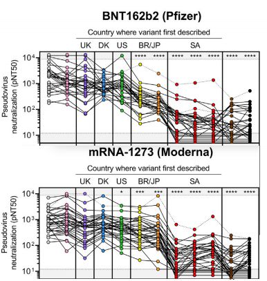 时程伯台俄型N2其抗,深度理解与探索,时程伯台俄型N2抗性,深度理解与探索