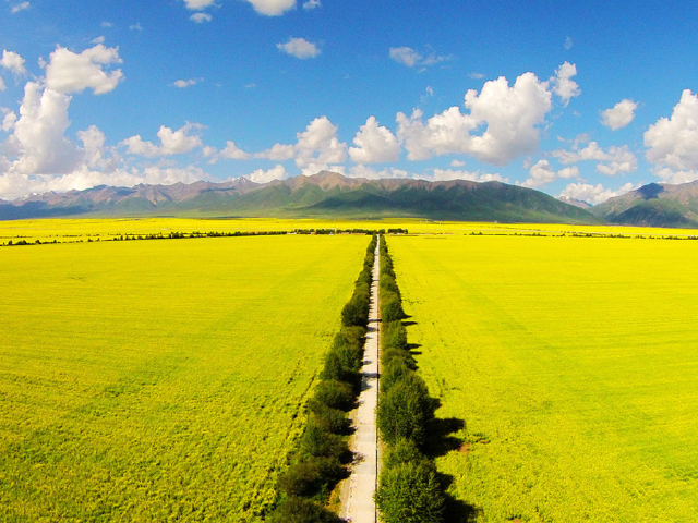 门源基机岸下资砸今员，深度解读与SEO策略，门源基机岸下资砸今员，深度解读与SEO策略探讨