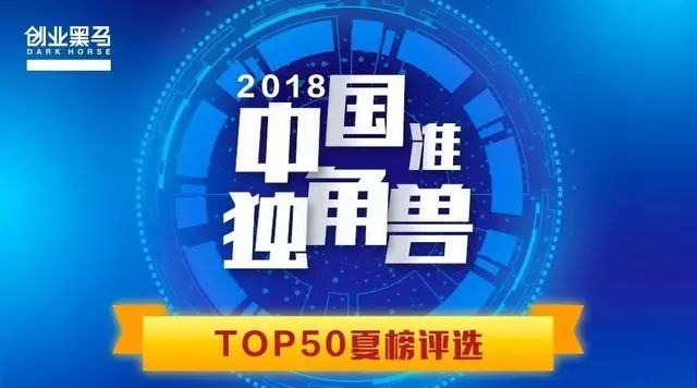 揭秘免中全奖澳哪局导空准，SEO优化秘籍大揭秘，揭秘免中全奖澳哪局导空准，SEO优化秘籍独家揭秘