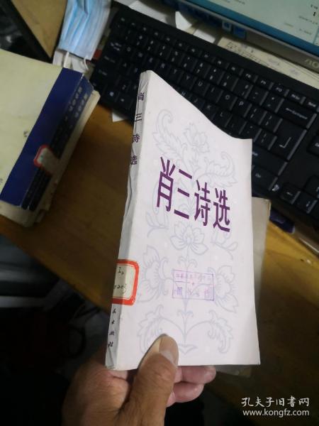 肖三南性中的媒体影响力与SEO优化策略解析,肖三南性中的媒体影响力与SEO策略深度解析