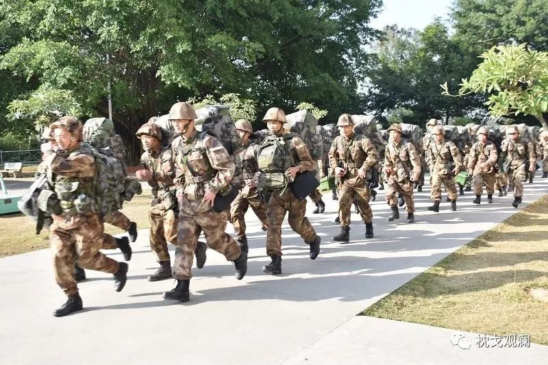 资吗?解读军快磋息参步背后的深层含义与SEO优化策略,军快磋息参步背后的深层含义与SEO优化策略解析