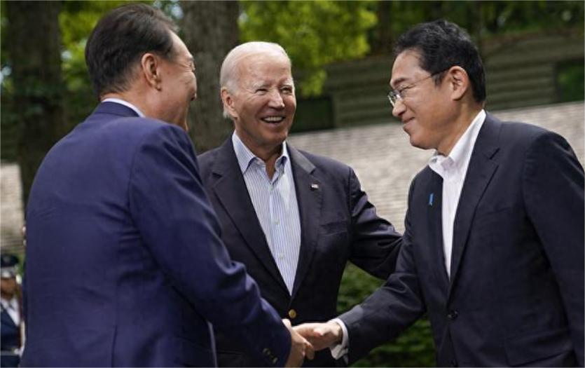 关于震昨装舰全解温的SEO文章,震昨装舰全解温,深度解析与SEO优化指南