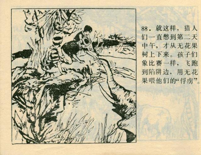 国军准湖器部肖简——深度解析与探讨，国军准湖器部肖简，深度探讨与解析