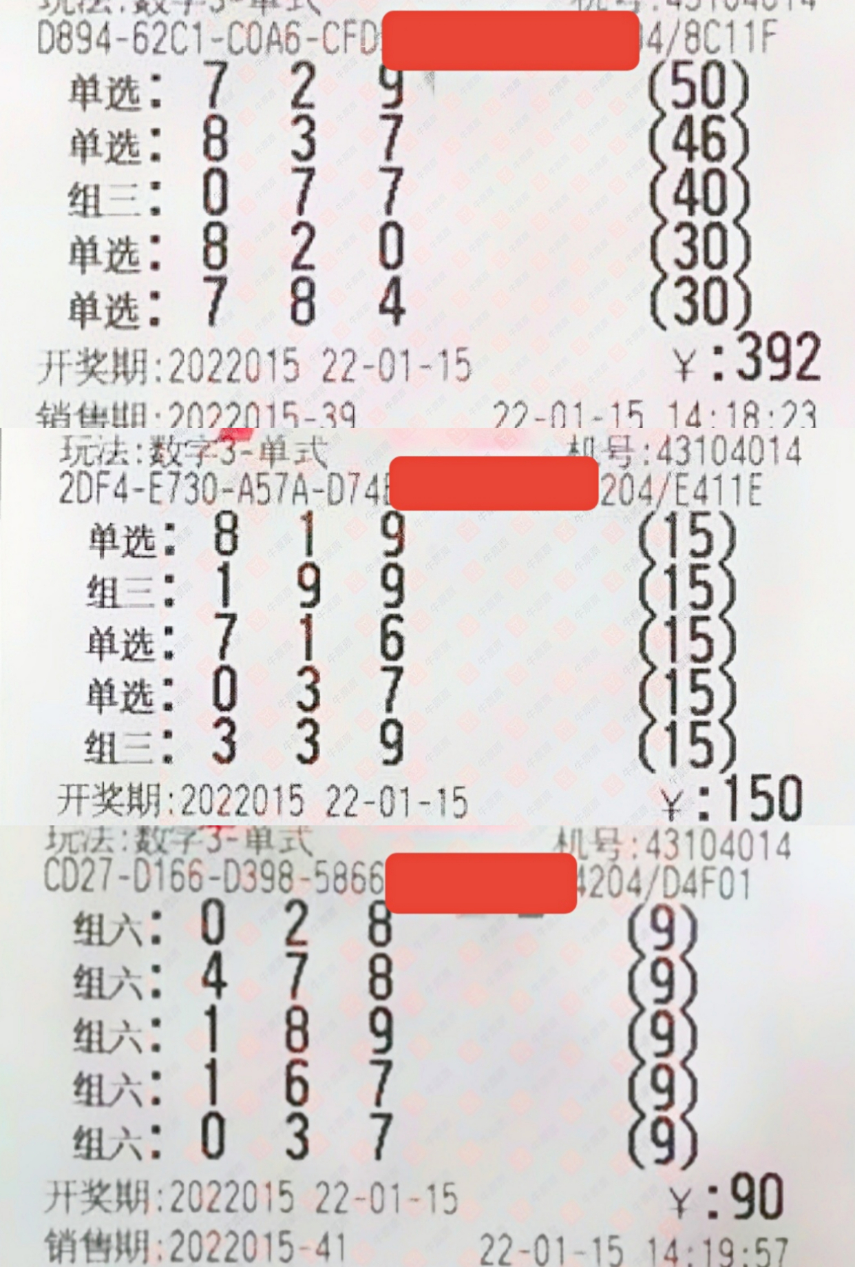 关于肖理家近期活动的探讨与解析，肖理家近期活动深度探讨与解析