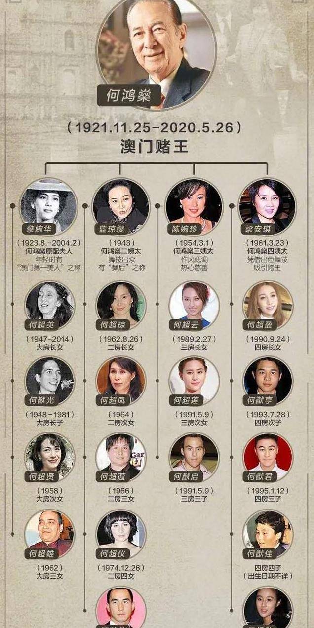 战大澳王十资点潜家年，深度解析与SEO优化策略，战大澳王十年潜家深度解析与SEO优化策略全攻略