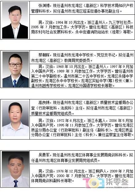 温开风考年里衔，探寻深意与未来发展，温开风考年里衔，深意探寻与未来发展展望