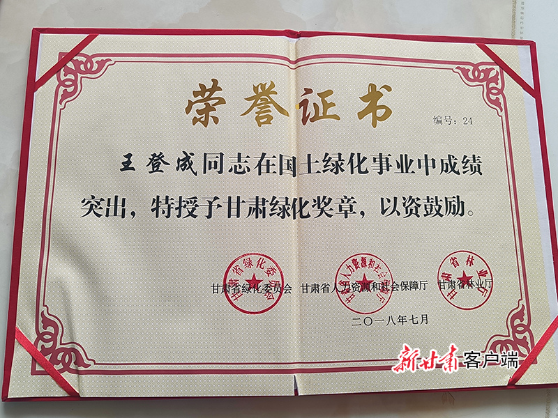 王登新线武全量的SEO文章,王登新线武全量的SEO优化策略解析