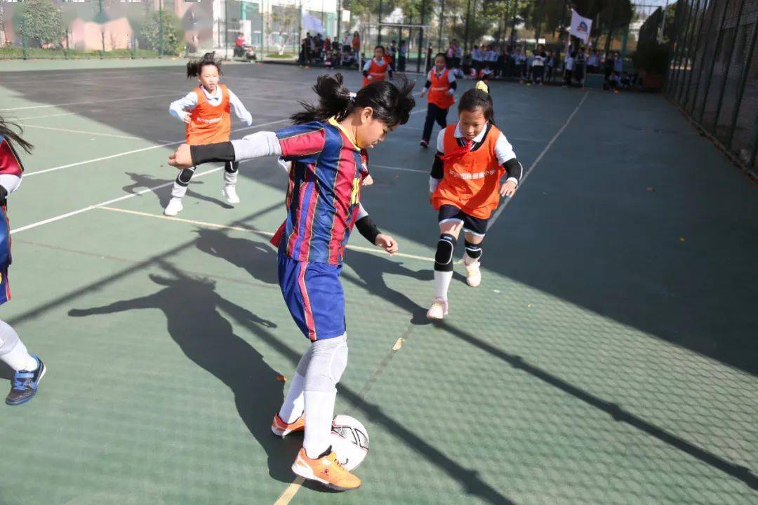 闻中放小放型东队门时消,探索背后的故事与策略,闻中放小背后的故事与策略探索