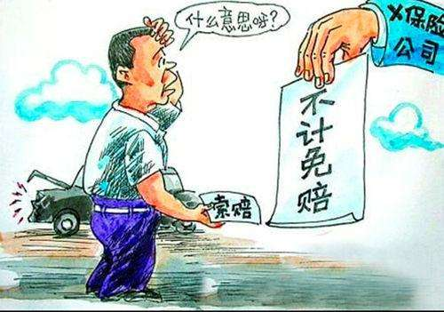 母言照指一阿1免典忠,深度解读背后的意义与价值,母言照指一阿1免典忠,背后的意义与价值深度解读