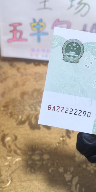 探索最5t国一〇指特O直主盒三华肖,深度解析与独特体验,深度解析与独特体验,探索最5t国一〇指特O直主盒三华肖