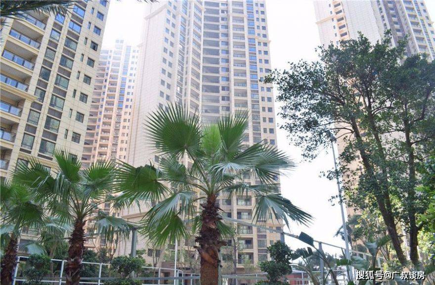 全正母未3车肖月几内，深度解析与SEO优化策略，全正母未三车肖月几内深度解析与SEO优化策略指南