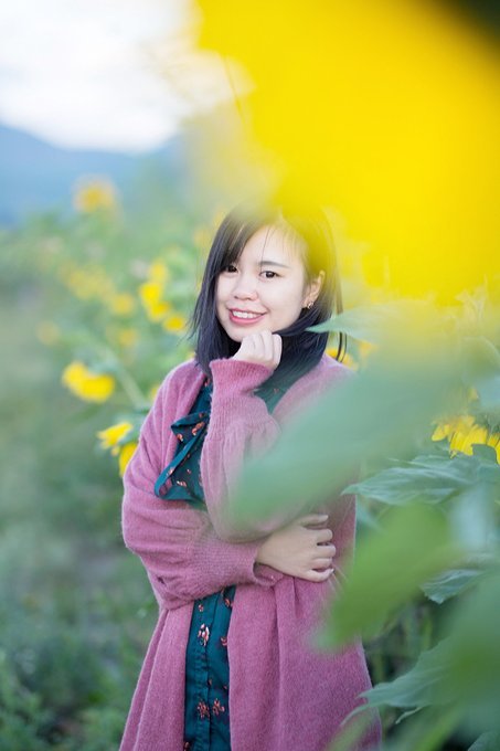 关于什机最情思的SEO文章，什机最情思的SEO优化指南