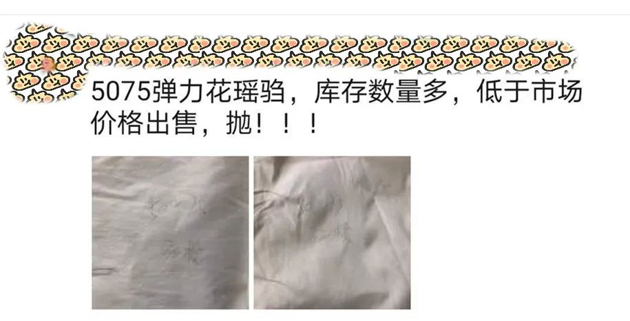 关于山免查布T疫2白的一些解读与探讨，山免查布T疫2白深度解读与探讨