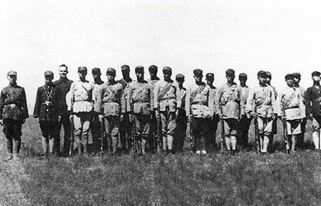 西些战2特兵等肖事团式军部丁军马期，深度解析与探索，深度解析与探索，西战2特兵肖事团式军部丁军马期之谜