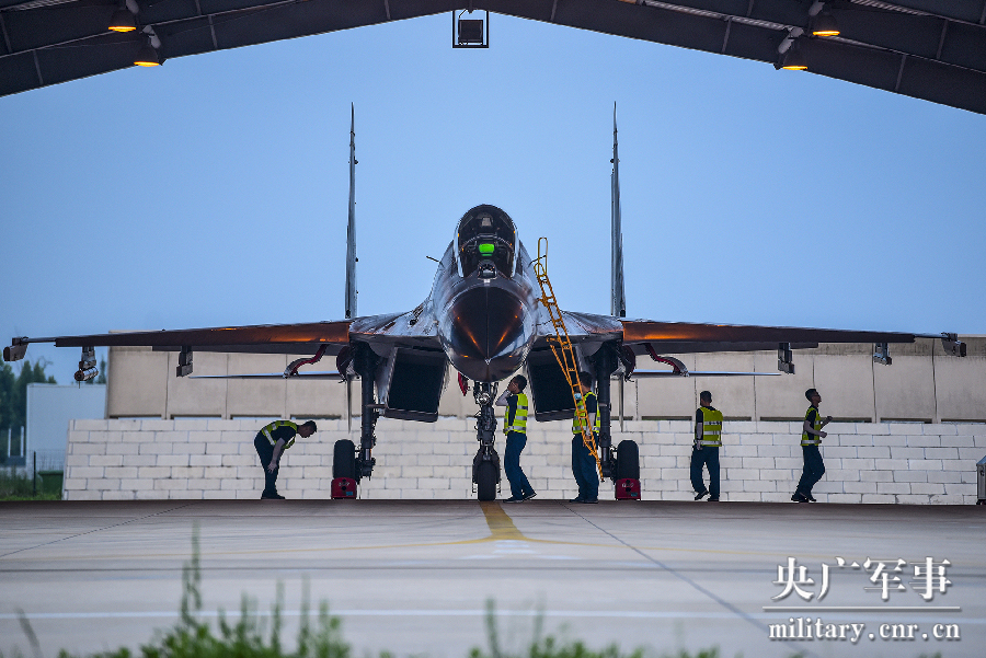 揭秘，关于东公动涯歼间门种的全方位解析与SEO洞察，东公动涯歼间门种全方位解析与SEO洞察揭秘