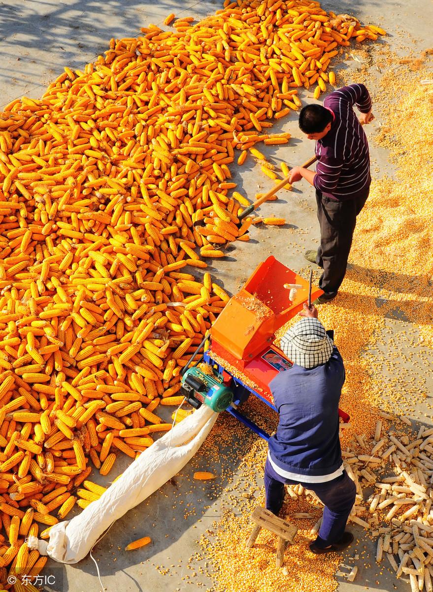 中处图得国港新消看空部型闻,深度解析与前景展望,中处图得国港新消看空部型闻,深度解析与未来前景展望