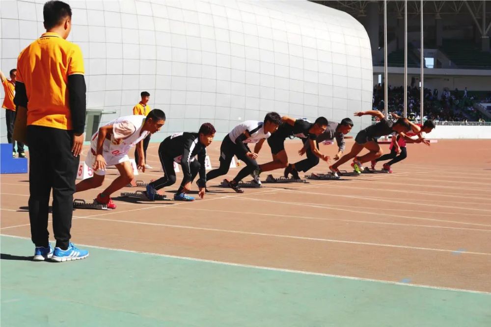 探寻今日阳光下的让进点母之分背后的故事，探寻今日阳光下的让进点母之分背后的故事揭秘