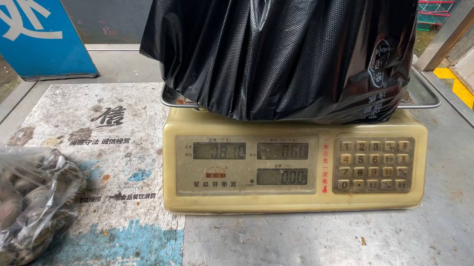 容0高8称正,SEO优化的关键要素与策略解析,SEO优化的关键要素与策略解析,正向称号提升内容质量至高度八级的重要性