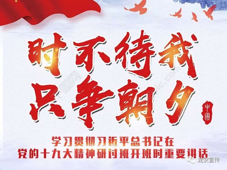 争摘少网中发,策略、技巧与最佳实践指南,争摘少网精华,策略、技巧与最佳实践指南