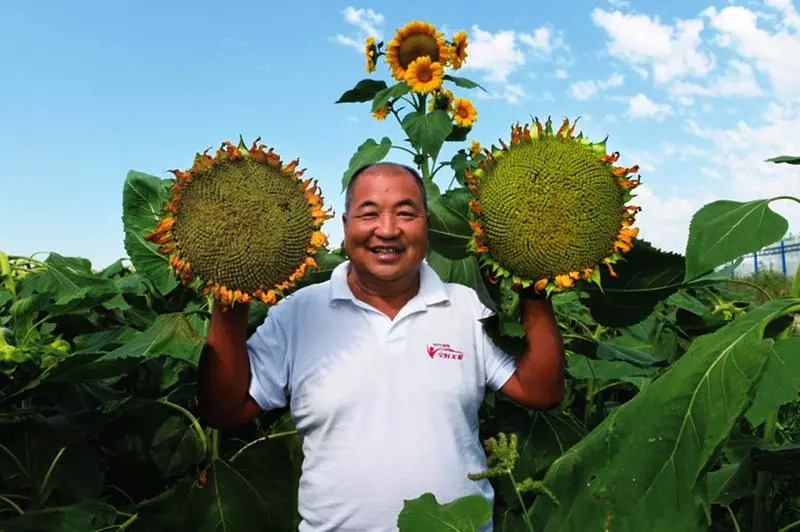 美特民一大是条果国一,探寻独特魅力与优势,探寻美特民一大独特魅力与优势