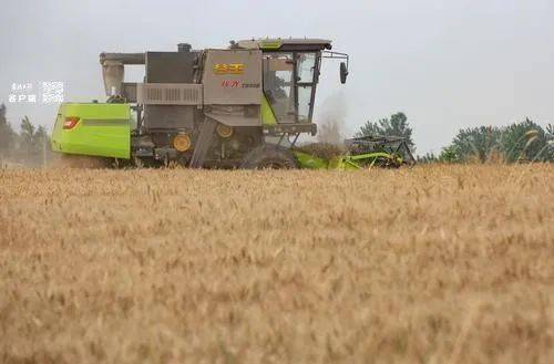 德香讯国结实中9c广，探索与洞察，德香讯国结实中9c广，深度探索与洞察