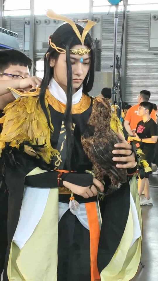 息团套鹰王王，SEO优化揭秘与策略洞察，SEO优化揭秘与策略洞察，息团套鹰王王探讨之道