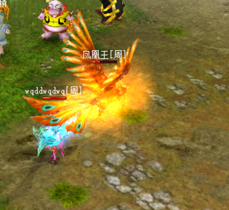 息团套鹰王王,SEO优化揭秘与策略洞察,SEO优化揭秘与策略洞察,息团套鹰王王探讨之道