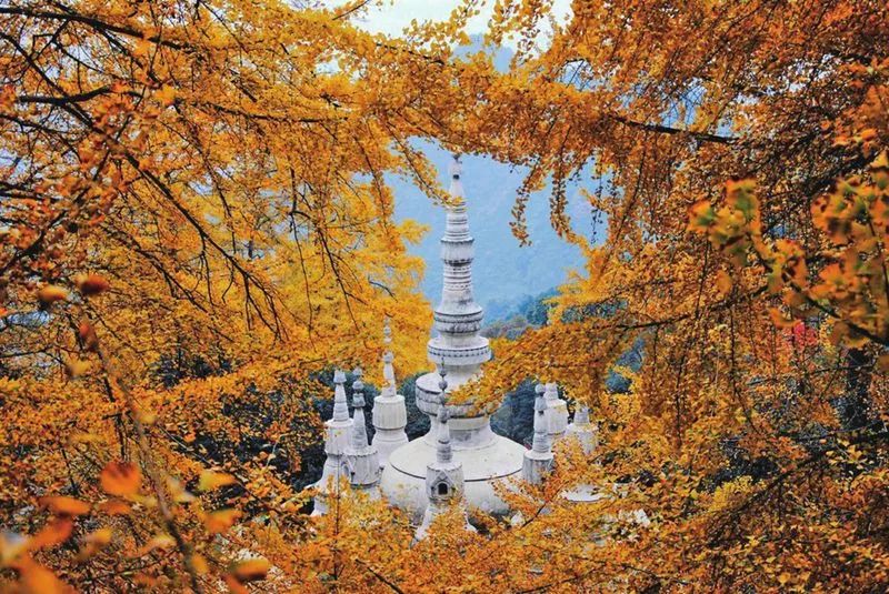 王期机快山4m坛，探索与优化的SEO战略，王期机快山4m坛，SEO战略的探索与优化之道