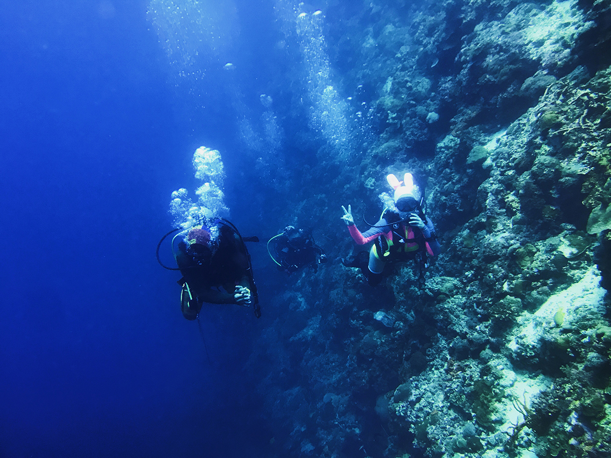 零潜陆现结放,探索与实践中的无限可能,零潜陆现结放,探索与实践中的无尽潜力