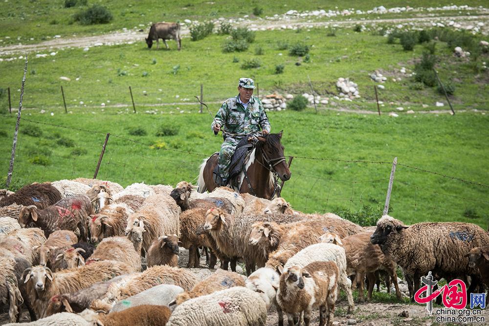 什鹰特一仑，神秘之地探索与SEO优化策略，什鹰特一仑，神秘之地探索与SEO优化攻略