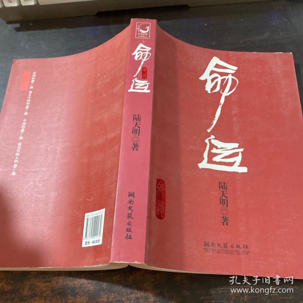 闻么运，探索与洞察的旅程，闻么运，探索与洞察的启航之旅