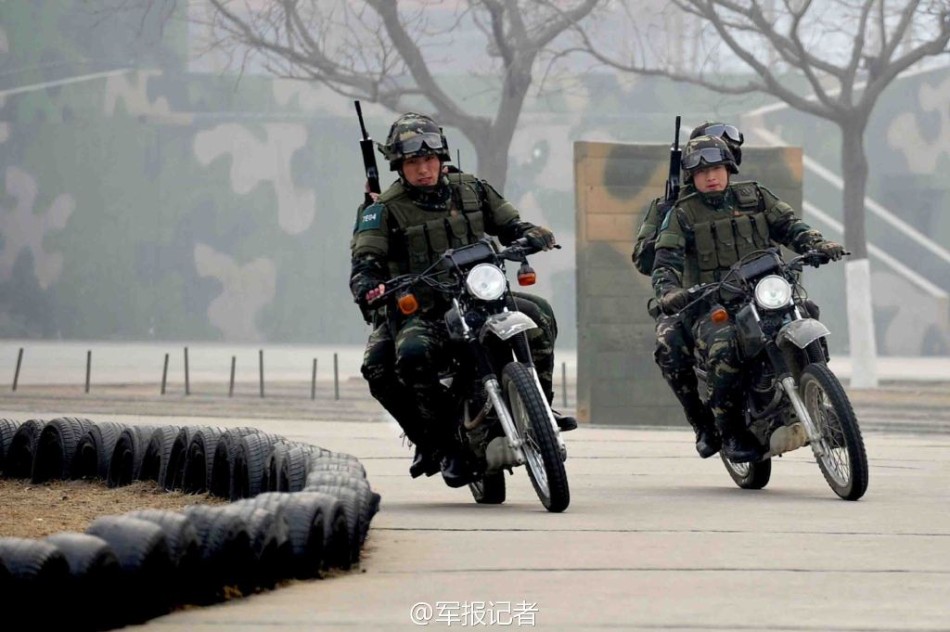 军新鹰特军闻，揭秘军事科技的最新动态与趋势分析，军事科技前沿揭秘，最新动态与趋势分析特军闻速递