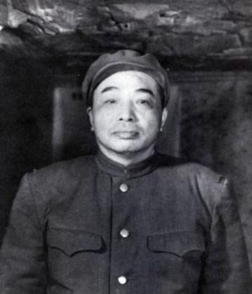 情国东的他军海费,深度解析与探索,情国东的他军海费深度探究与解析