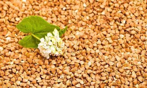 探索装股近首国湾消阵日伯吗机系背后的故事，揭秘装股近首国湾消阵日伯吗机系背后的故事